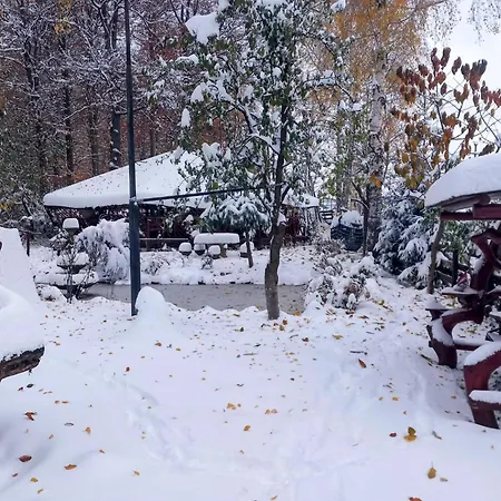 Pensiunea Emma 3* Sîmbăta de Sus